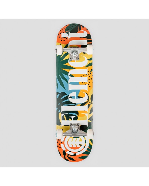 SKATE ELEMENT MONSTERA